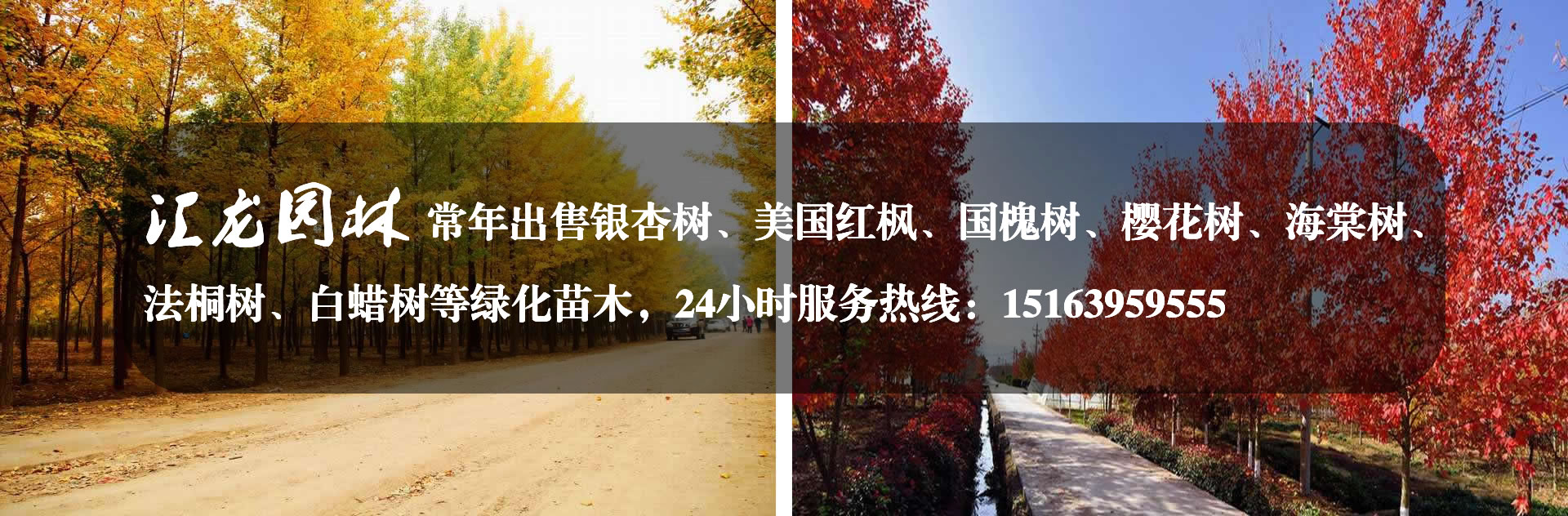 山東匯龍園林綠化有限公司